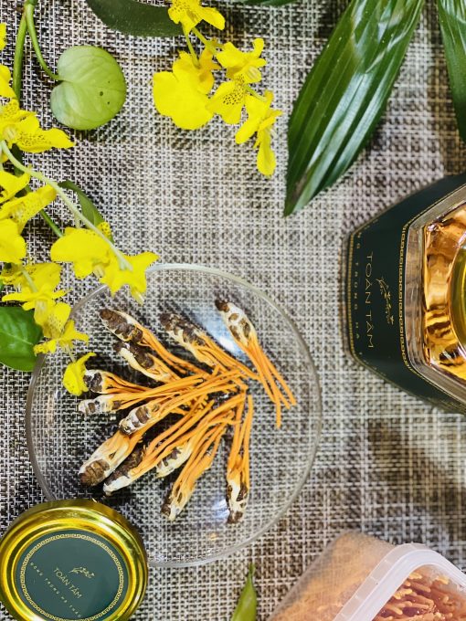 Đông trùng hạ thảo nguyên con (Toàn Tâm)